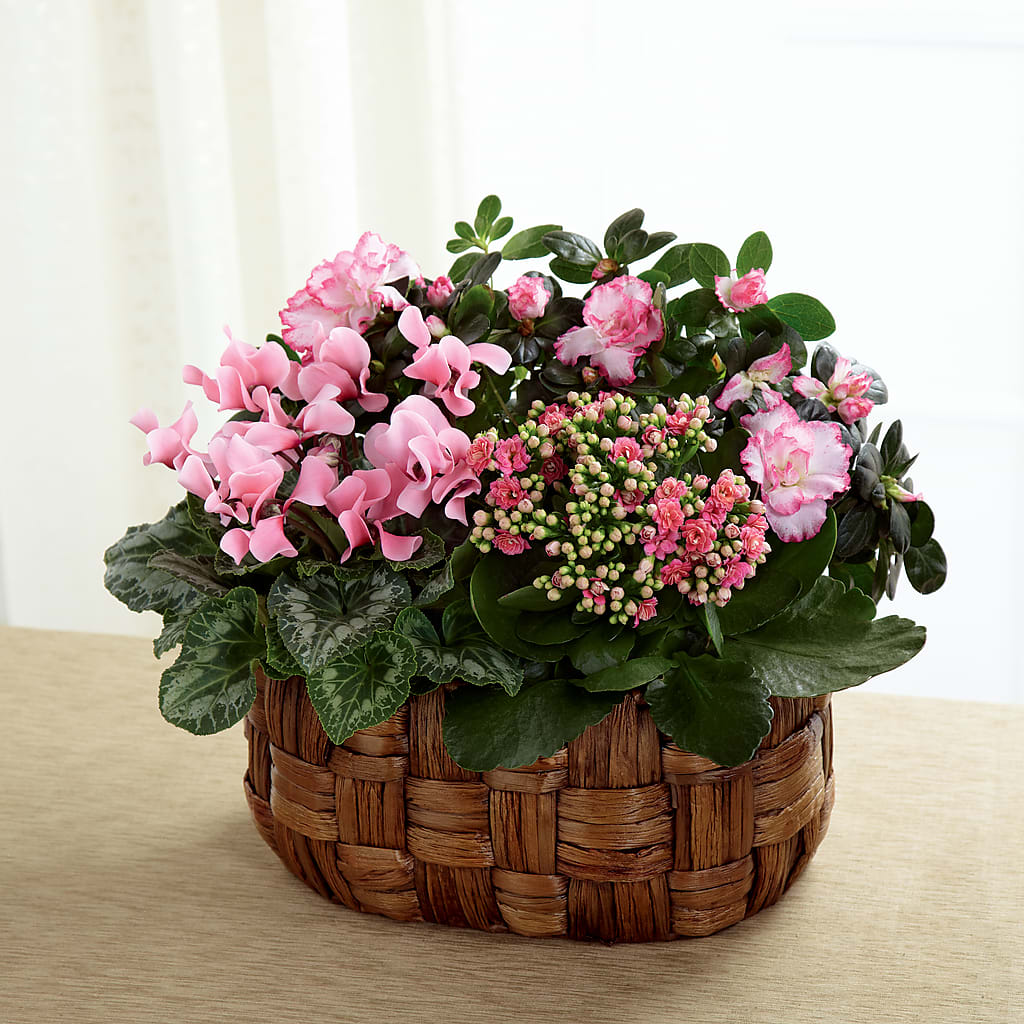 Pink Assortment – Creative Designs, Wilmington NC