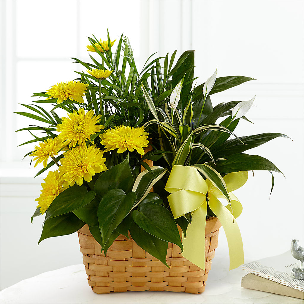 Loving Light Dishgarden – Creative Designs, Wilmington NC