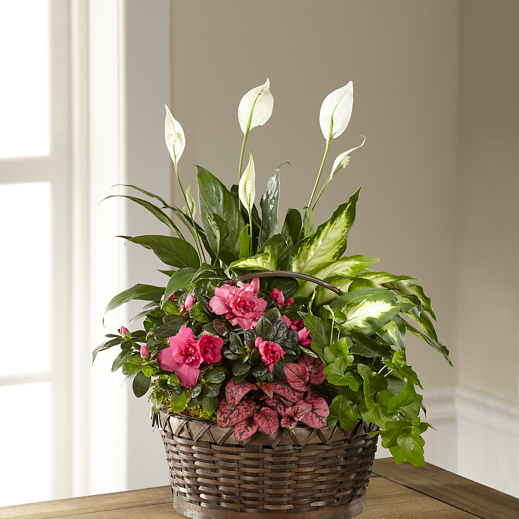 Dream in Pink Dishgarden – Creative Designs, Wilmington NC