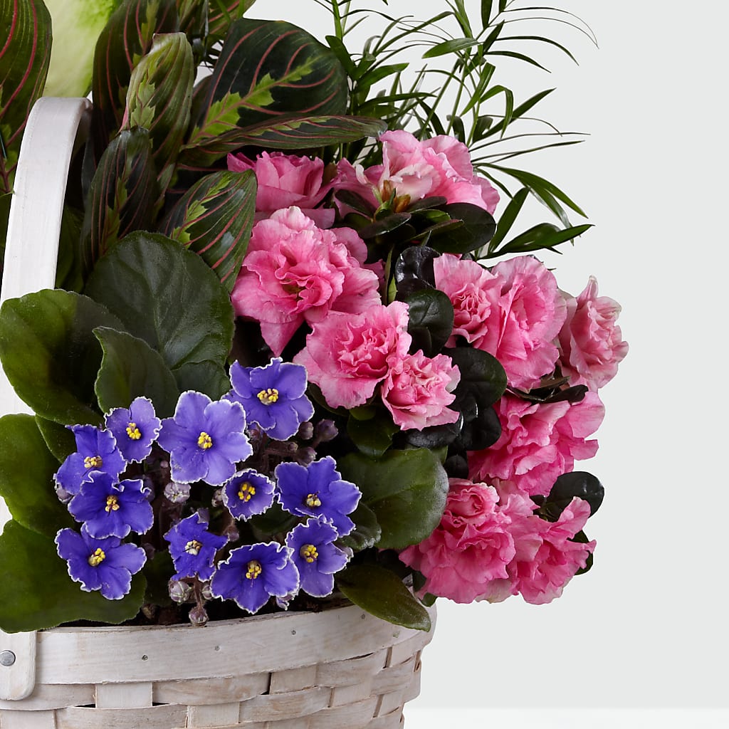 Peaceful Garden Planter – Creative Designs, Wilmington NC