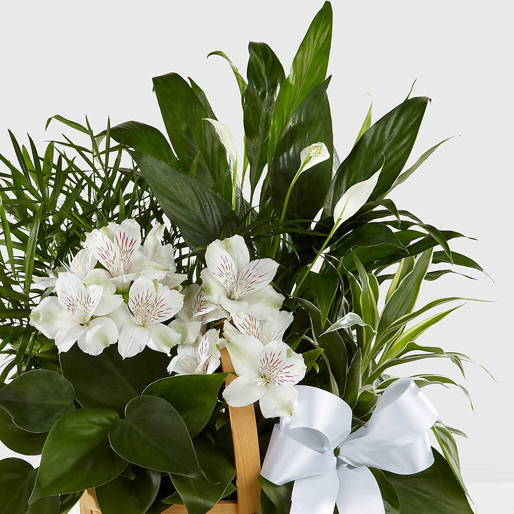 Peace & Serenity Dishgarden –  Creative Designs, Wilmington NC