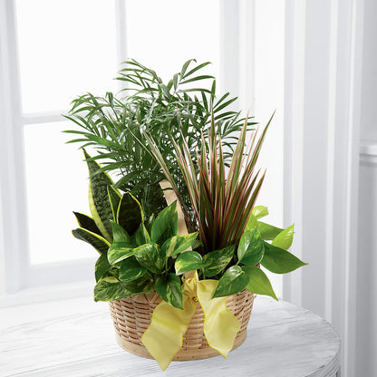 French Garden –  Creative Designs, Wilmington NC