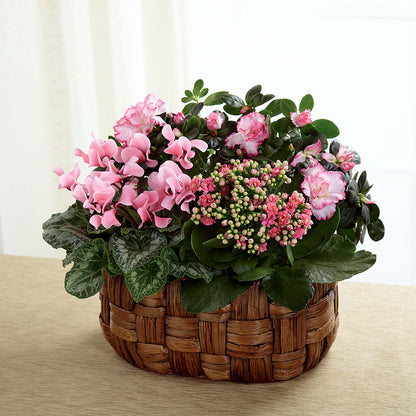 Pink Assortment –  Creative Designs, Wilmington NC