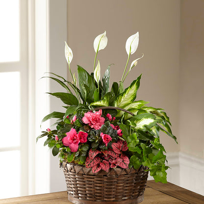 Dream in Pink Dishgarden –  Creative Designs, Wilmington NC