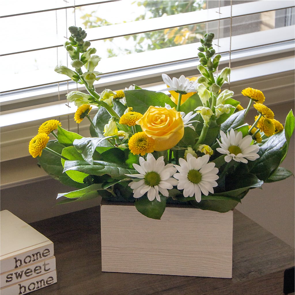 Sun Salutation Box Bouquet –  Creative Designs, Wilmington NC