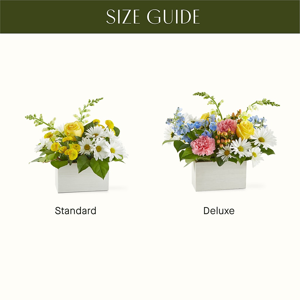 Sun Salutation Box Bouquet –  Creative Designs, Wilmington NC