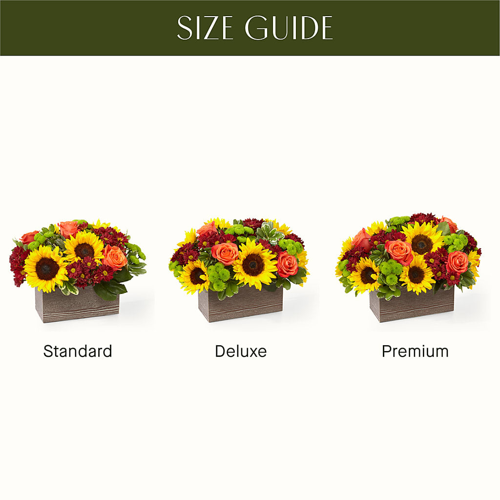 Happy Harvest Garden –  Creative Designs, Wilmington NC
