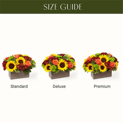 Happy Harvest Garden –  Creative Designs, Wilmington NC