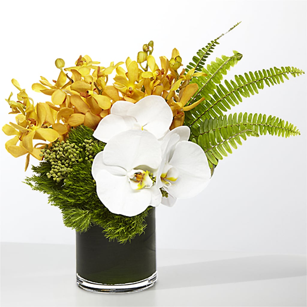 The Tropics –  Creative Designs, Wilmington NC