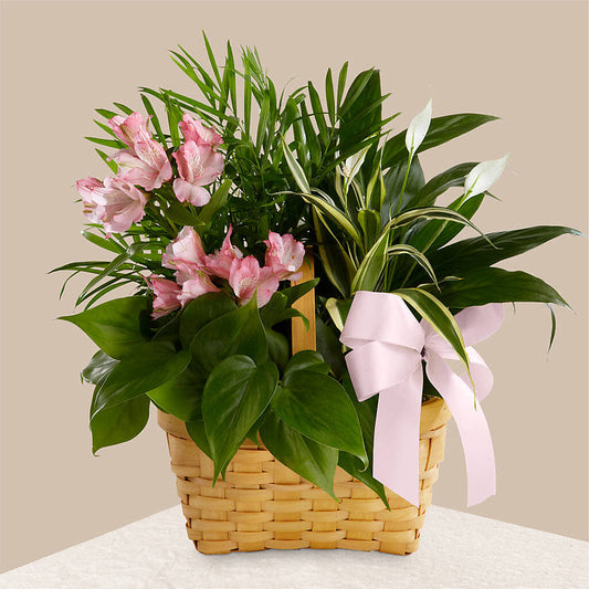 Living Spirit Dishgarden –  Creative Designs, Wilmington NC