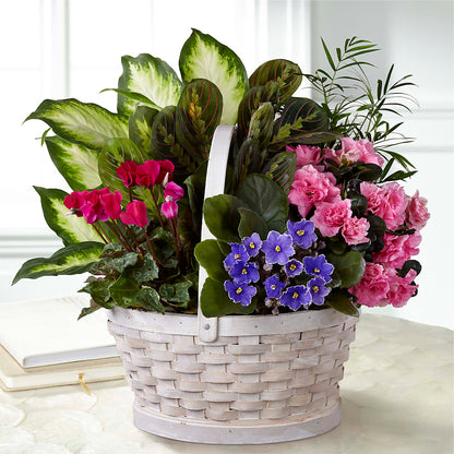 Peaceful Garden Planter –  Creative Designs, Wilmington NC