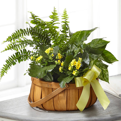 Always Dear Dishgarden –  Creative Designs, Wilmington NC