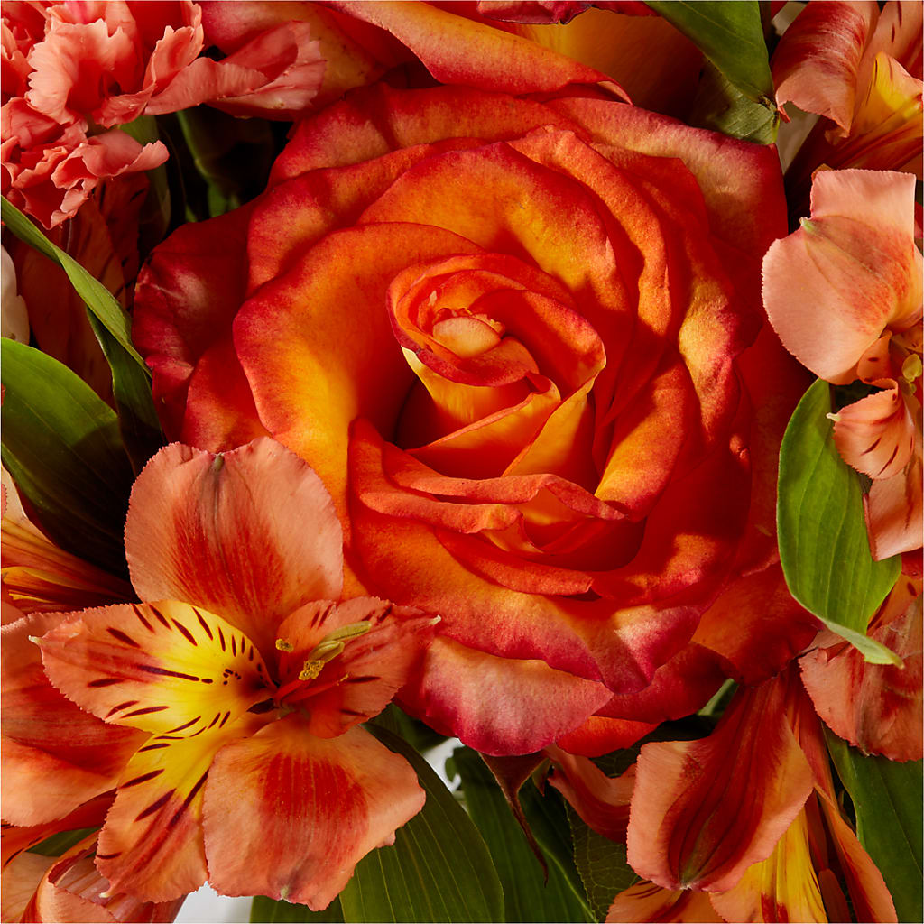 Apricot Glow Bouquet –  Creative Designs, Wilmington NC