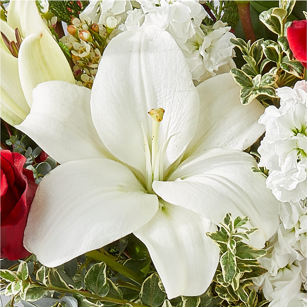 Twinkle Lights Bouquet –  Creative Designs, Wilmington NC