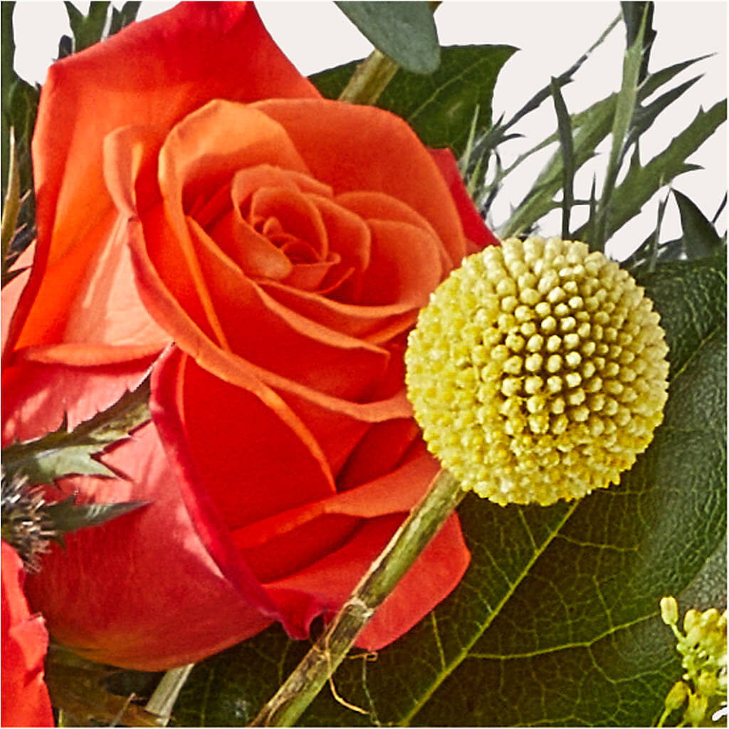 Disco Bouquet –  Creative Designs, Wilmington NC